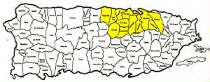 metromap01.jpg